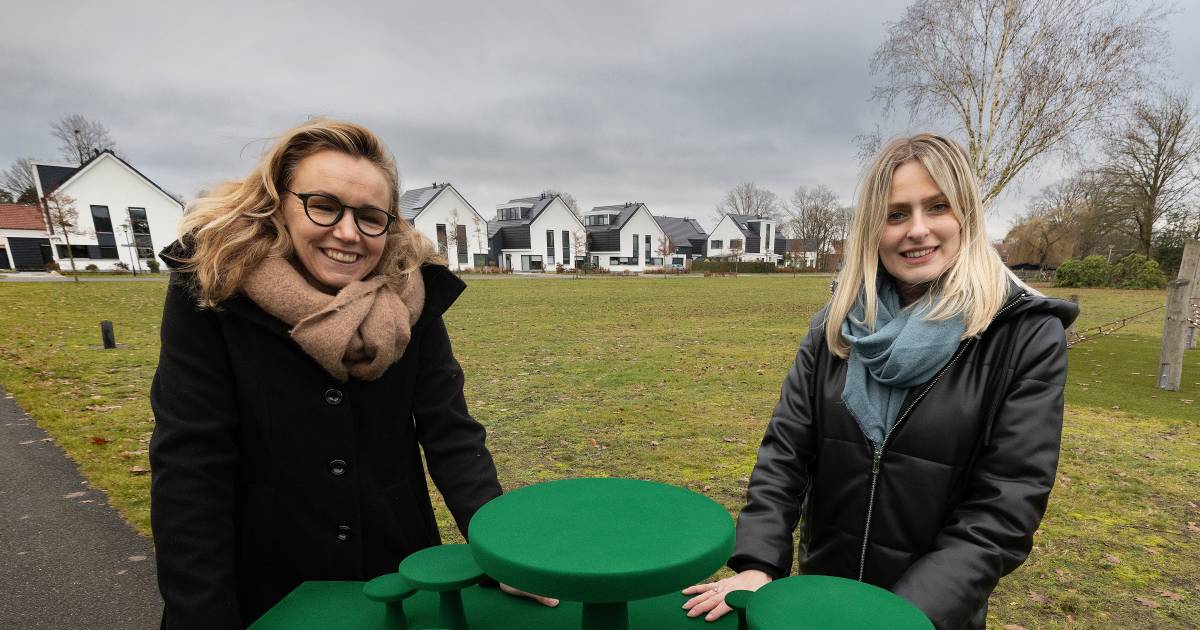 In de wijk Kloostervelden in Sterksel zijn ze beretrots op gewonnen Stijlprijs: ‘Ik ben heel dankbaa