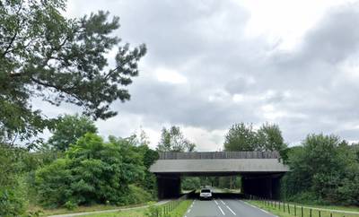 Wat kruipt er over het ecoduct tussen Leende en Valkenswaard?