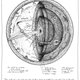 'Atlas van imaginaire verklaringen' staat boordevol (on)zin