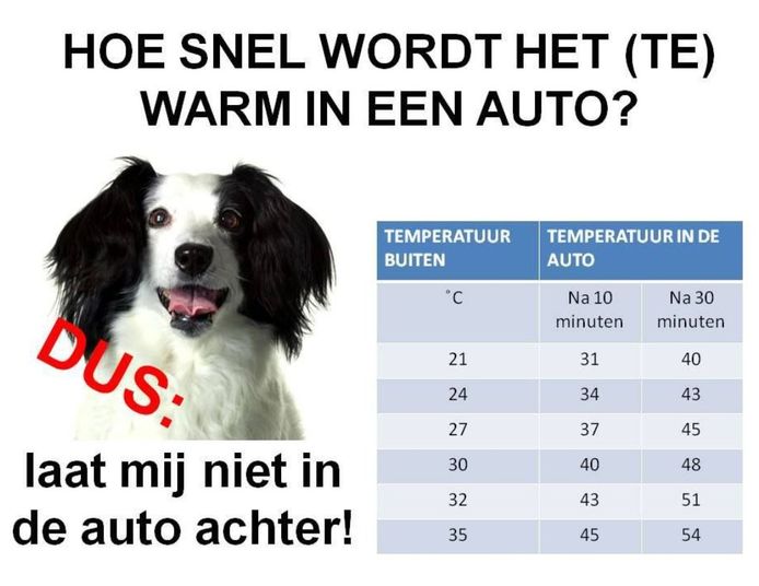 De temperaturen stijgen snel als een auto in de zon staat.
