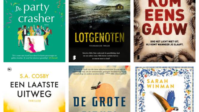Van thriller tot roman: dit zijn onze tien boekentips voor de zomer