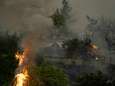 Bosbranden blijven Griekenland teisteren: dorpen ten noorden van Athene ontruimd
