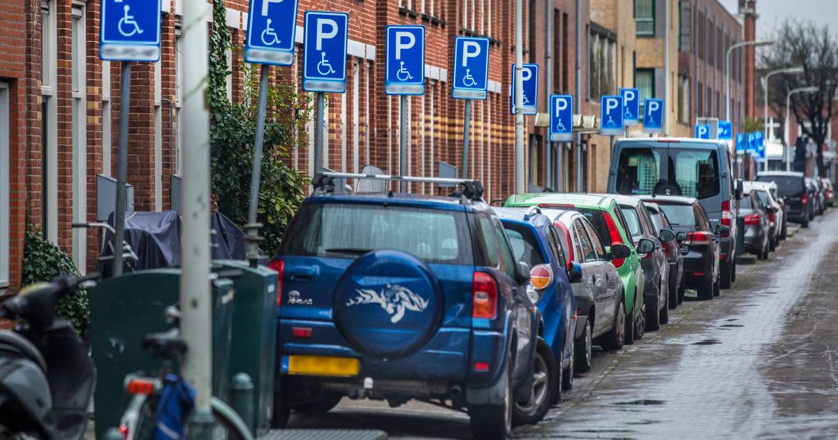 Verbijstering over invalidenparkeerplaatsen Schilderswijk en Transvaal: ‘Onderzoek hoe die mensen er