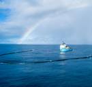 Ruimt de plasticvanger van The Ocean Cleanup ook het zeeleven op?