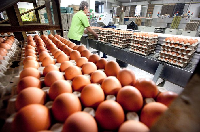 Foto ter illustratie