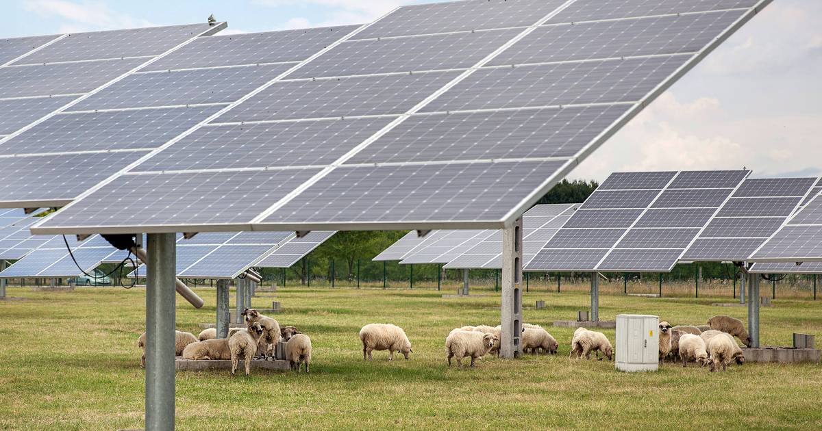 Plan voor 19.000 zonnepanelen in leeg weiland bij Hagestein