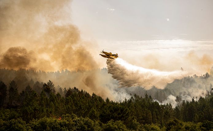 Blusvliegtuigen proberen branden te blussen in Portugal.