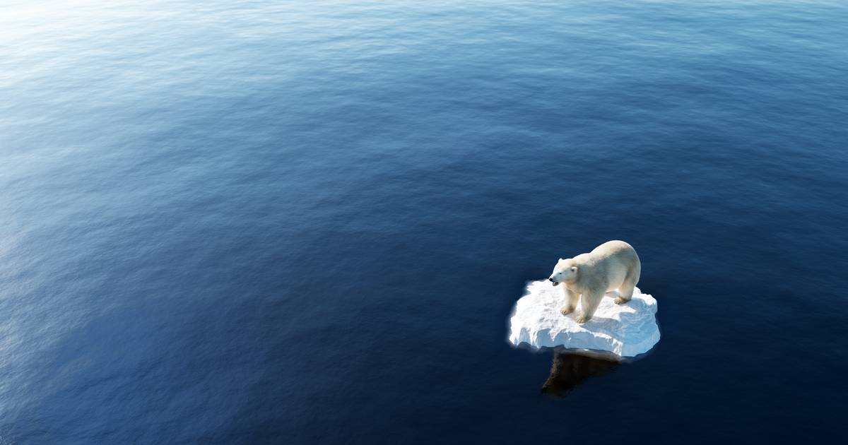 Un nuovo studio rileva che l’Artico si sta riscaldando circa quattro volte più velocemente della media globale