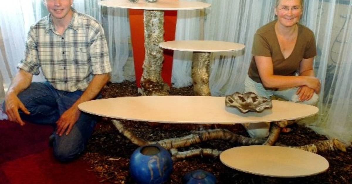 Kleiner plan in Witharen