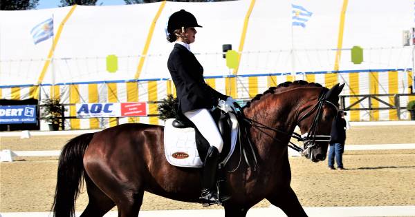 Kleijwegt en Boogaard ontpoppen zich tot smaakmakers