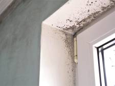 Lage temperatuur in huis betekent meer kans op schimmel, zo kom je er vanaf