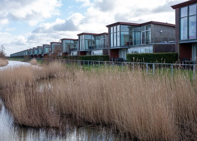 Aan de rand van Waterpark Veerse Meer staan 63 dijkwoningen. De eigenaren steunen het plan van Driestar voor het nieuwe vakantiepark.
