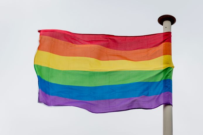 De regenboogvlag