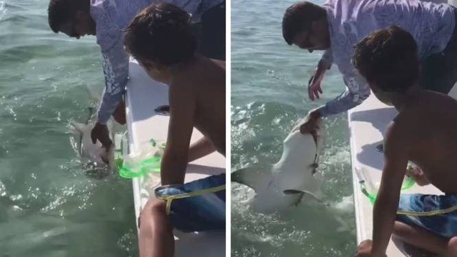 Un requin arrache le doigt d'un pêcheur