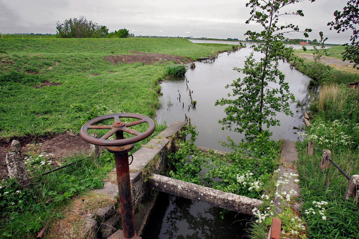 Het eiland Tiengemeten in Haringvliet. Beeld anp
