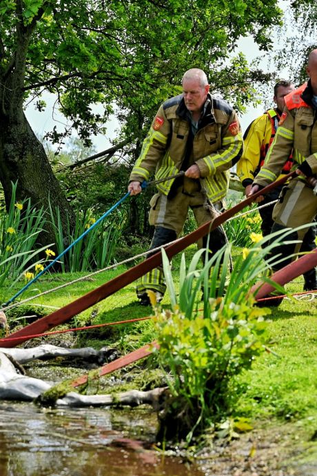 Brandweerlieden redden paard uit het water in Moergestel