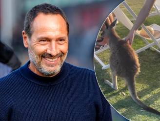 John van ‘t Schip viert huwelijks­feest zoon in Australië tussen de kangoeroes en mist laatste twee duels Ajax