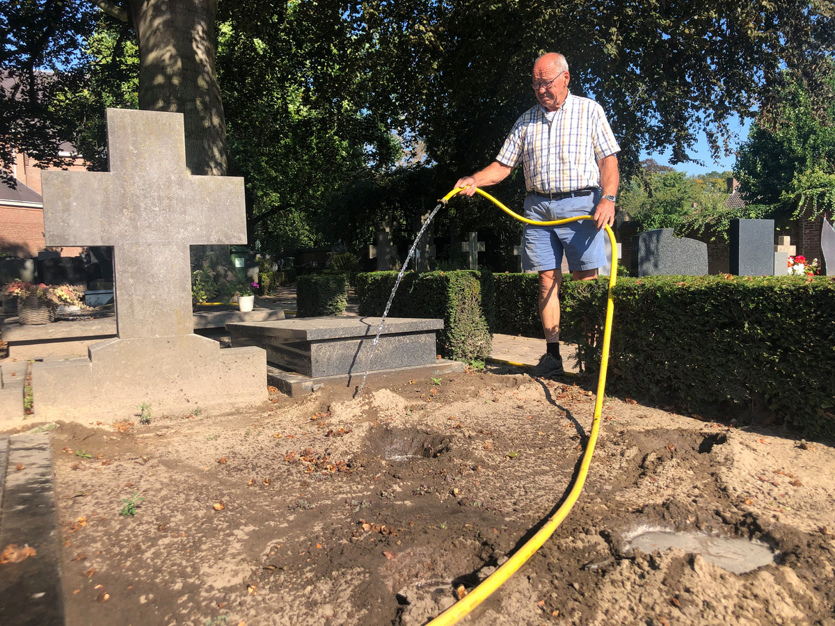 Beuken dreigen het loodje op kerkhof van Udenhout te leggen tuinslang