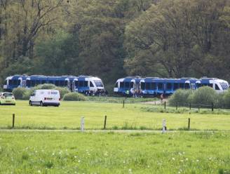 Defecte treinen zorgen hele ochtend voor oponthoud tussen Zutphen en Hengelo