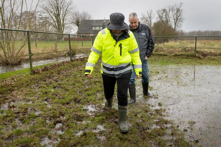 Dijkgraaf Marijn Ornstein nam samen gebiedscoördinator Sjaak van den Bosch poolshoogte in het overstroomde gebied in Epe.  Beeld Herman Engbers