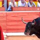 Wat er echt gebeurt na de stierenrennen in Pamplona (filmpje)
