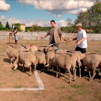 Werd de saboteur aangeduid als meest betrouwbare kandidaat? Dit was aflevering 3 van ‘De Mol’