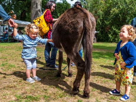 Walk Art Markt in Zeist: poppenhuizen, sieraden en... geitenkaas