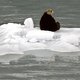 Olieboringen Alaska stap dichterbij