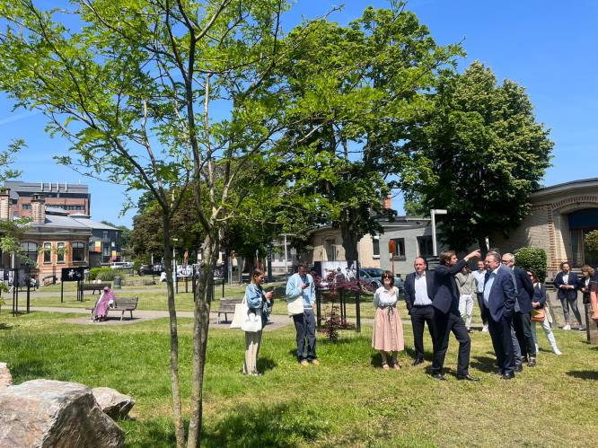 UVC Brugmann viert 100-jarig bestaan met reeks evenementen en opendeurweekend