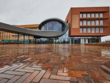 Lochem wil niet alleen een groener interieur van het gemeentehuis, maar ook een groenere buitenruimte