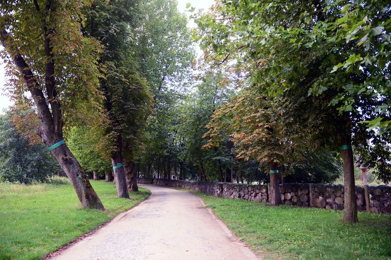 Mineermot In Provinciedomein Leuven In De Buurt Hln