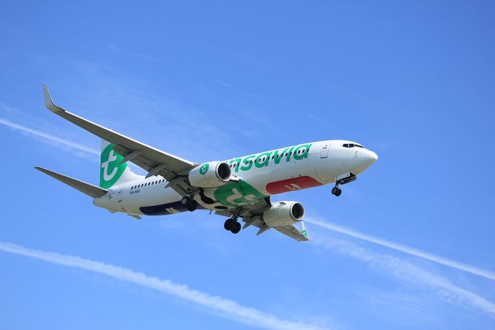 Transavia vliegtuig boeing 737.