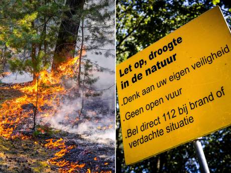Het is kurkdroog en natuurbranden liggen op de loer: wat kunnen we doen?