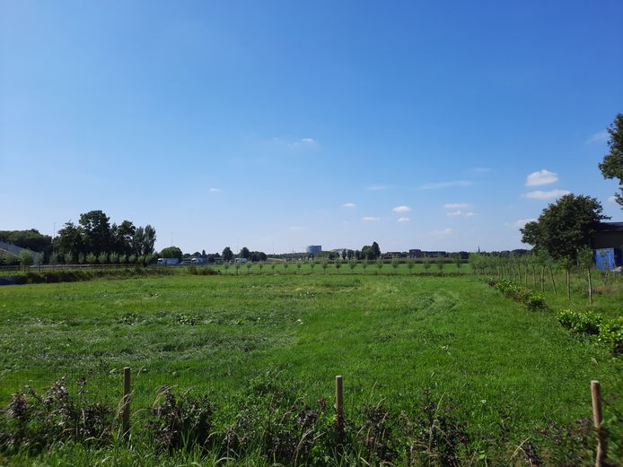Het gebied tussen de Lage Bremberg en de Lage Vaartkant, met op de achtergrond het Trivium en links de A58. 'Bouw er niet', luidt het advies van het Waterschap Brabantse Delta.