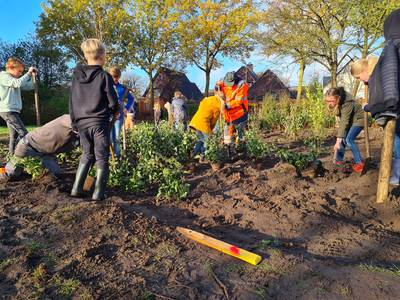 Deldense scholieren werken zich in het zweet op boomfeestdag: ‘Gemeente weer een stukje groener’