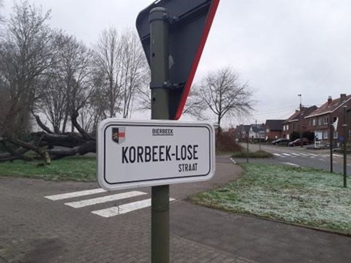 de Korbeek-Losestraat in Bierbeek