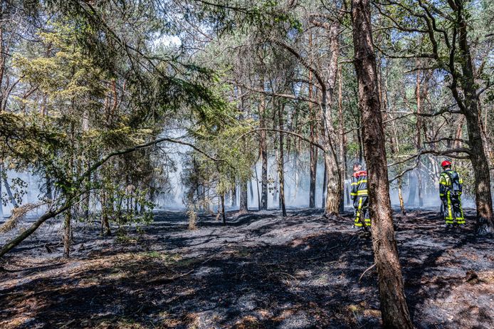 Nabij de Reeshofweg in Tilburg woedde zaterdag een natuurbrand.