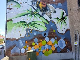 Muurschildering siert Basisschool ‘t Biekorfje