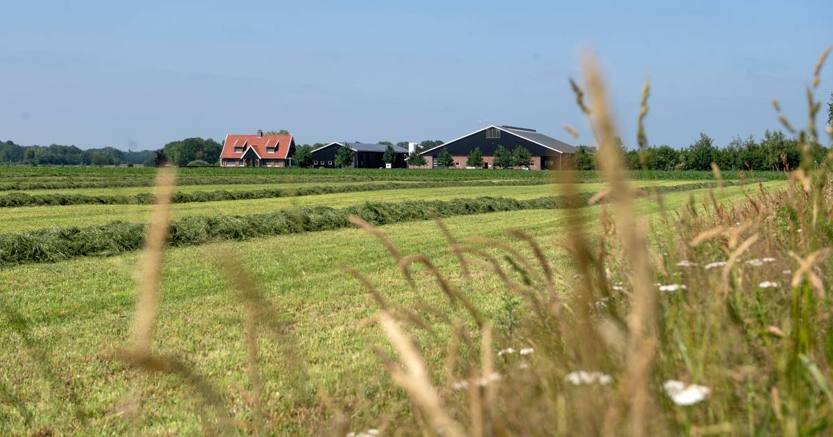 Ruilverkaveling Saasveld-Gammelke na 20 jaar klaar: ‘Grond is emotie’