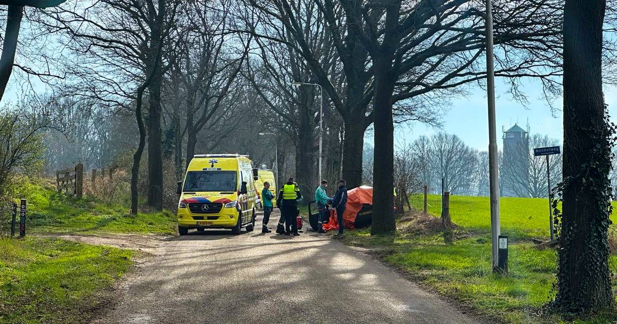 Dode bij frontale botsing tegen boom in Aalten.