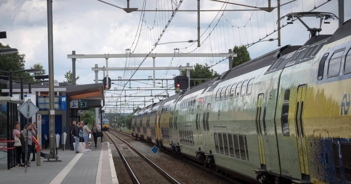 Nog raadsel waarom slachtoffers dodelijk ongeluk op spoor in Elst liepen.