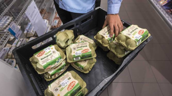 Ondanks maatregelen kregen Nederlanders toch besmette eieren op hun bord