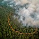 Frankrijk zucht onder vernietigende bosbranden: ‘Brand bij Bordeaux is een monster’