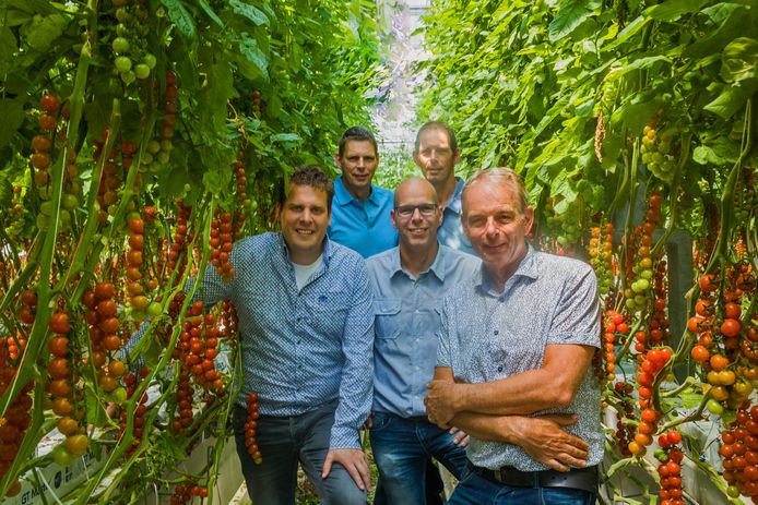 De mensen achter Duijvestijn Tomaten. Vooraan directeur Ad van Adrichem (links), Remco Duijvestijn (m) en Ted Duijvestijn. Achter Peter Duijvestijn (links) en Ronald Duijvestijn.