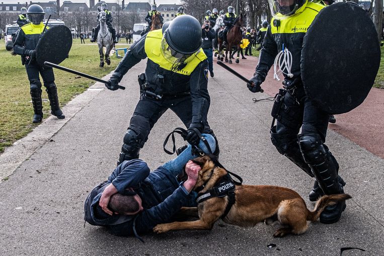Het incident waar de VN-rapporteur voor martelingen aan refereert. Tijdens een demonstratie op het Malieveld in Den Haag op 14 maart 2021 bleven agenten inslaan op een demonstrant die op de grond lag. Beeld Joris van Gennip
