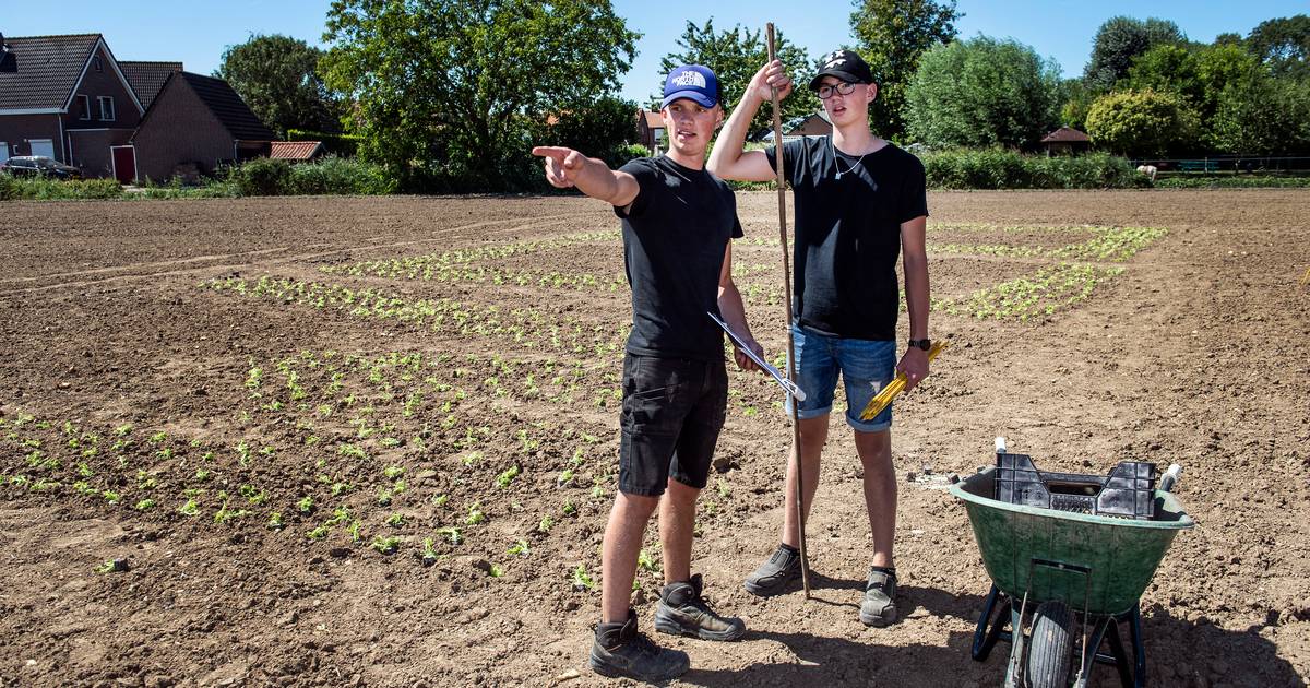 Langeweg begroet peloton Vuelta met duizenden kroppen sla: ‘Ultiem als het vanuit de lucht wordt gef