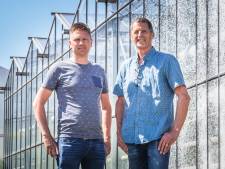 Tuinders blijven strijden voor bouw stookfabriek, rechtszaak op komst als Brielle vergunning blijft weigeren