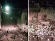 VIDEO. Miljoenen buxusmotten maken nachtelijk leven in Frans dorpje onmogelijk