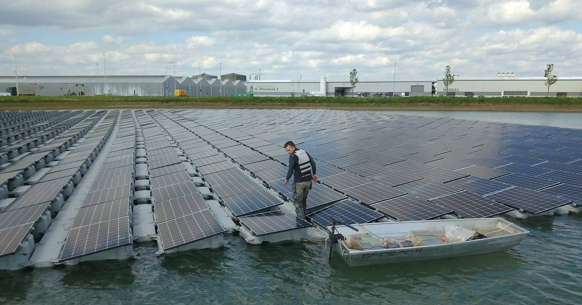 Drijvend zonnepark bij Azewijn stuk dichterbij: 'Vriendelijker dan windmolens' - De Gelderlander