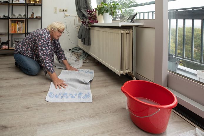 Alweer lekkages: Sophia van Gortel woont in een huurflat en wordt er wanhopig van.